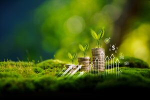 your money your priorities